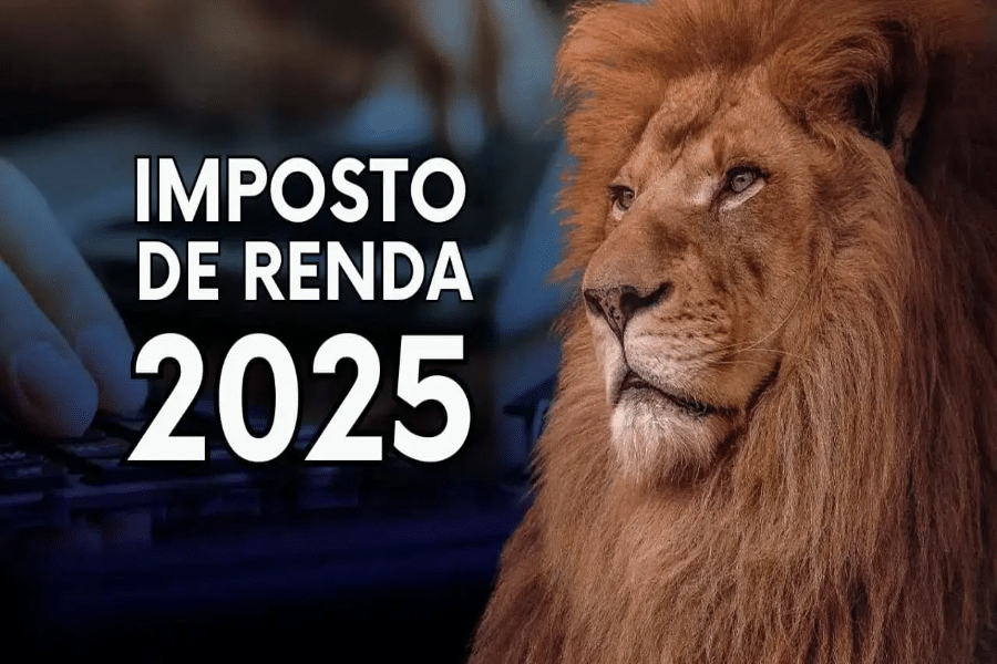 Saiba como declarar seus investimentos no Imposto de Renda 2025, incluindo criptomoedas, ações, fundos imobiliários, ETFs, renda fixa e mais. Evite erros, organize sua documentação e não perca o prazo!