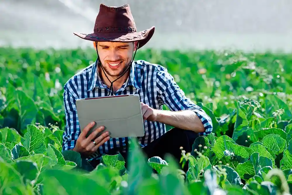 Rapaz no campo olhando em seu laptop os investimos da carteira Fundo Imobiliário RZTR11 