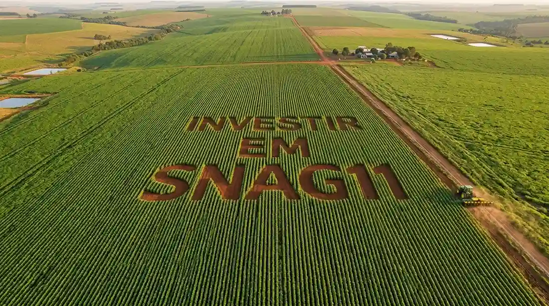 Investidor analisa gráficos financeiros enquanto uma plantação ao fundo representa o agronegócio. A cena simboliza a avaliação de oportunidades em FIAGROs como o SNAG11.